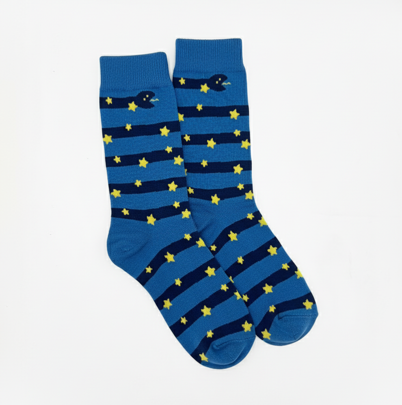 THE NIGHT SKY CONSTELLATION