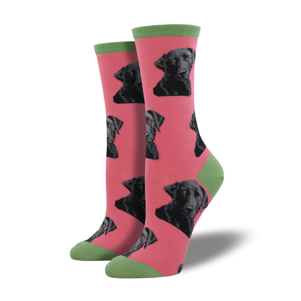"LAB-OR OF LOVE" SOCKS