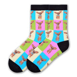 CHIHUAHUA SOCKS