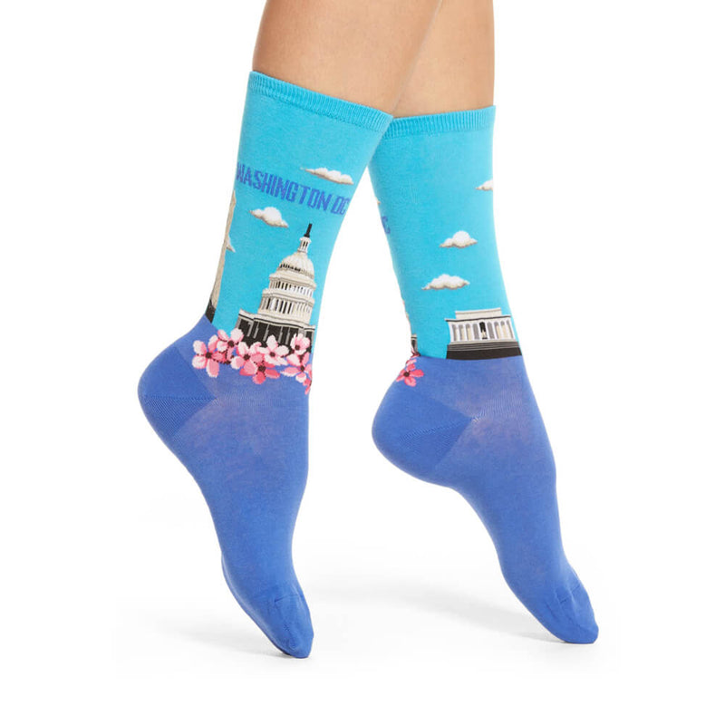 WASHINGTON DC SOCKS