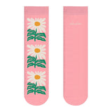 PINK DAISY DAY
