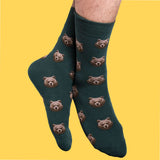 BEAR SOCKS