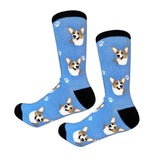 WELSH CORGI SOCKS