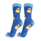 POMERANIAN SOCKS