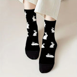 MIDNIGHT BUNNIES
