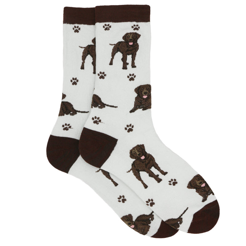 LOYAL CHOCOLATE LAB CREW