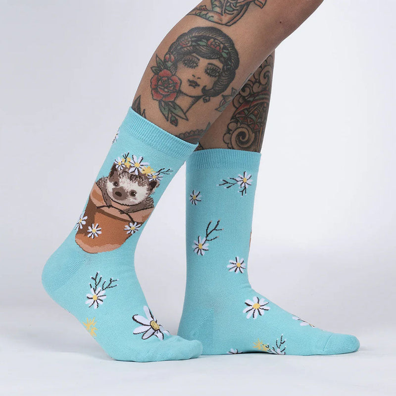 MY DEAR HEDGEHOG SOCKS