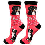 LIFE IS BETTER WITH A BERNESE MOUNTAIN DOG  SOCKS