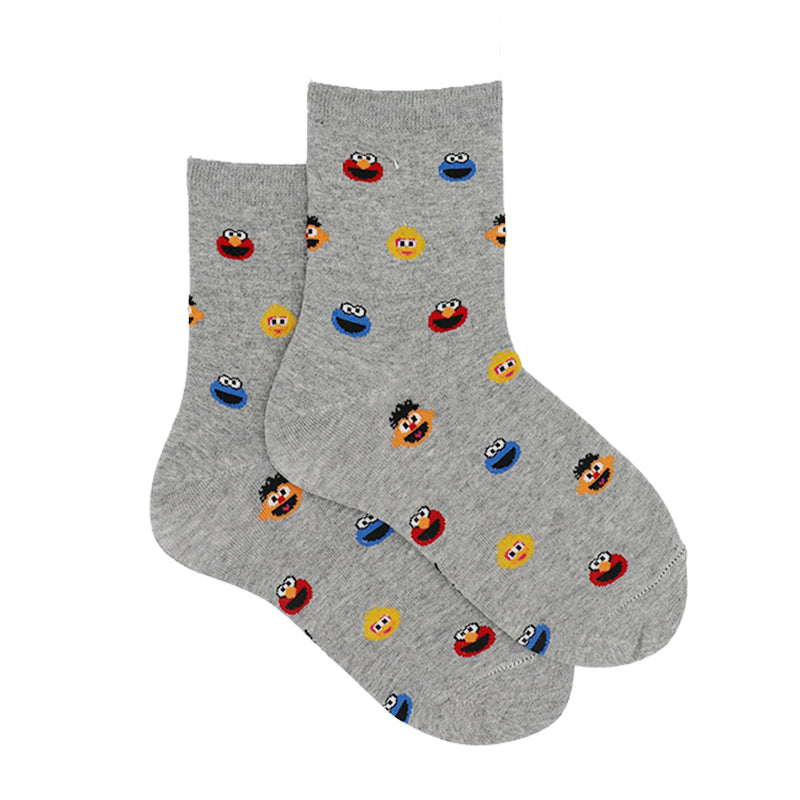 SESAM STREET SOCKS