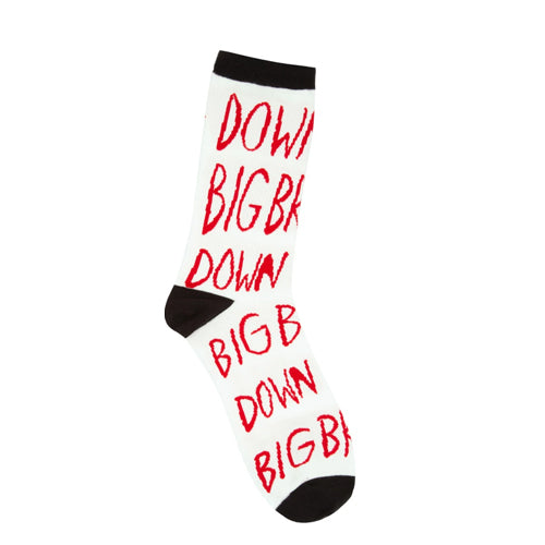 DOWN WITH BIG BROTHER 1984 SOCKS