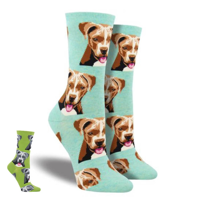 PITBULL SOCKS