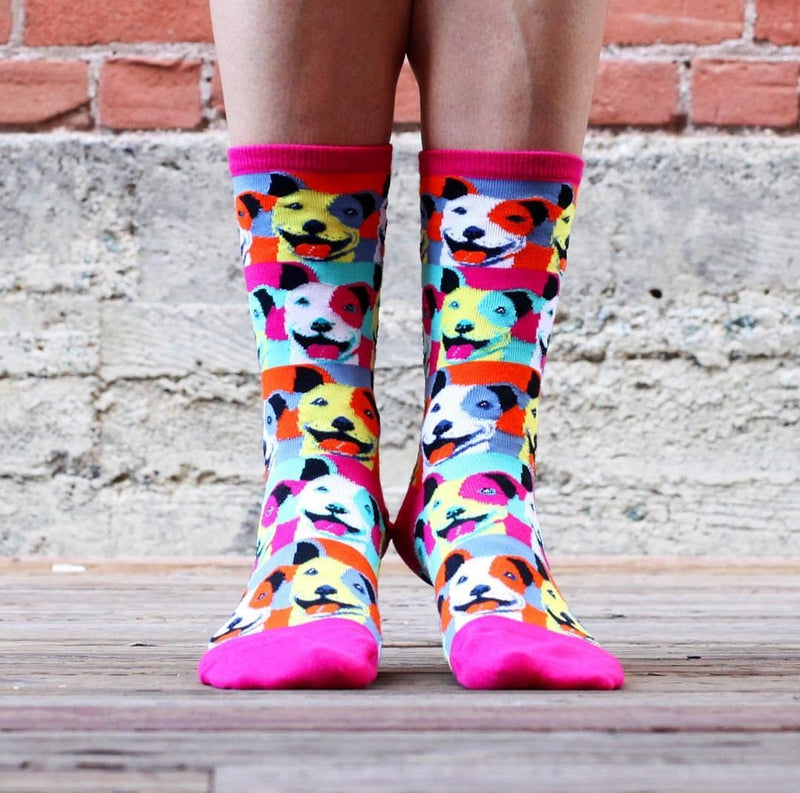 POP ART PITBULL SOCKS